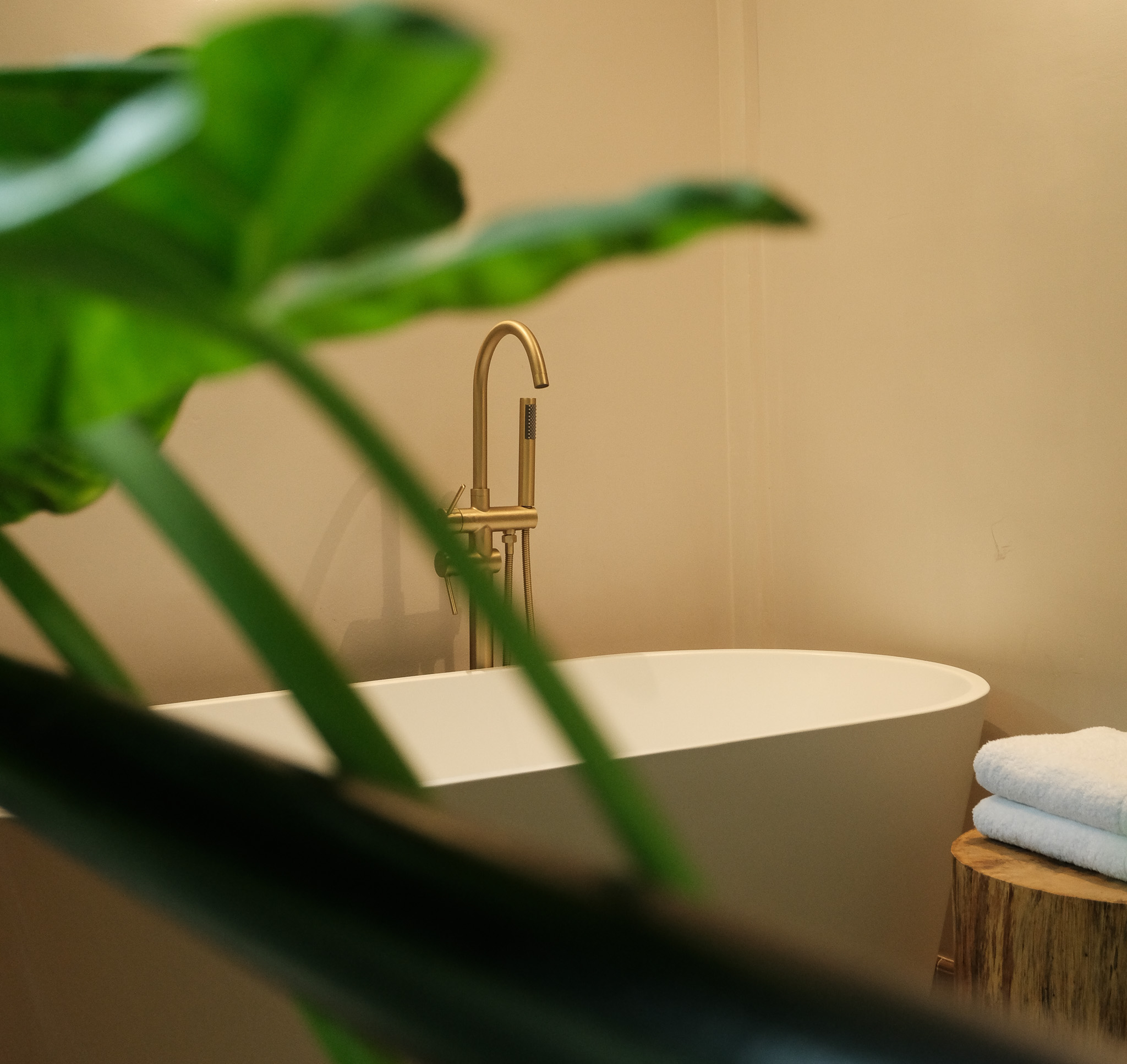 Copia de Copia de DSCF1893.jpg